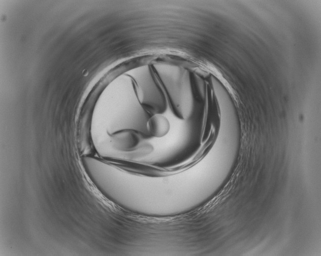 X0000081561140200702051143