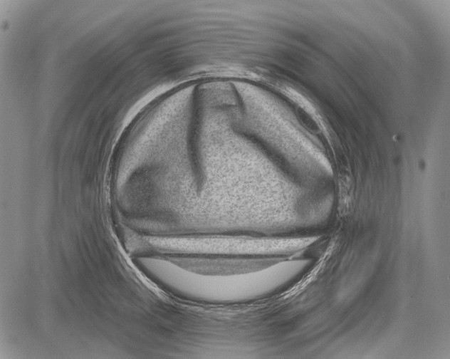 X0000081561141200702051143