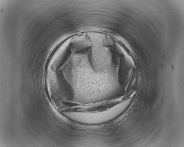 X0000081561143200702051143