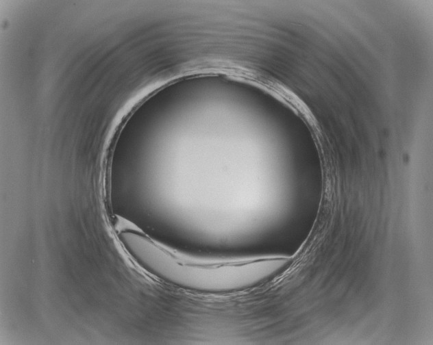 X0000081561144200702051143