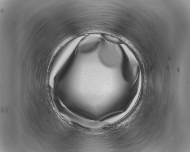 X0000081561145200702051143