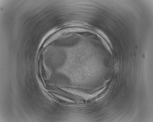 X0000081561146200702051143