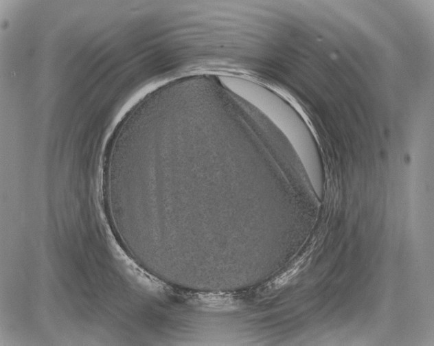 X0000081561147200702051143