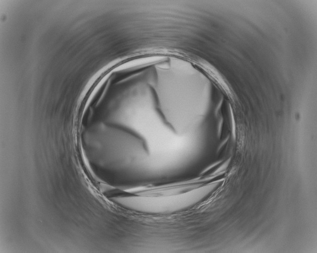 X0000081561148200702051143