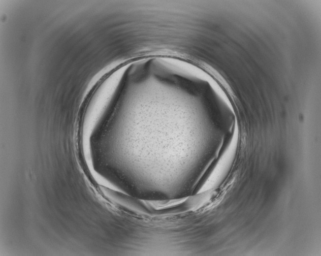 X0000081561149200702051143