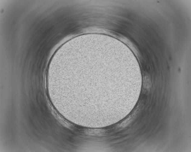 X0000081561150200702051143