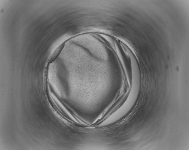 X0000081561151200702051143