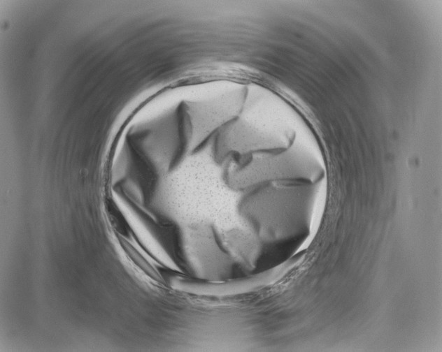 X0000081561152200702051143