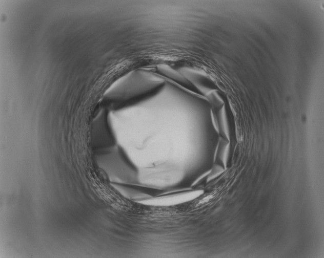 X0000081561153200702051142