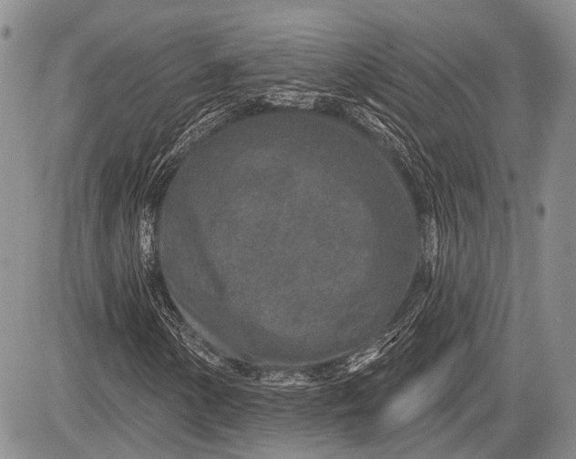 X0000081561154200702051142