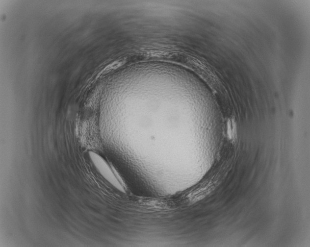 X0000081561155200702051142