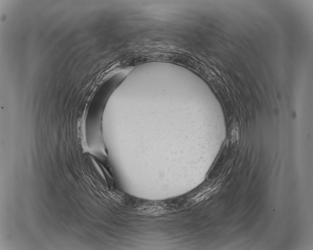 X0000081561156200702051142