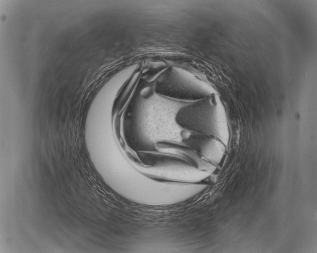 X0000081561157200702051142