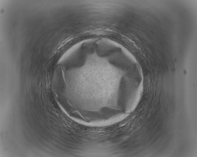 X0000081561158200702051142