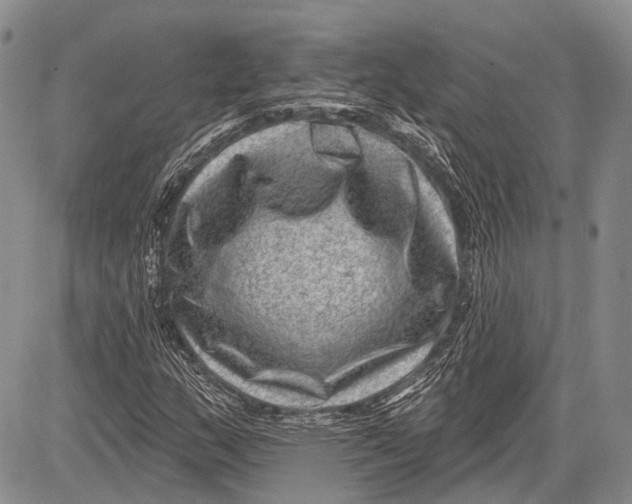 X0000081561159200702051142