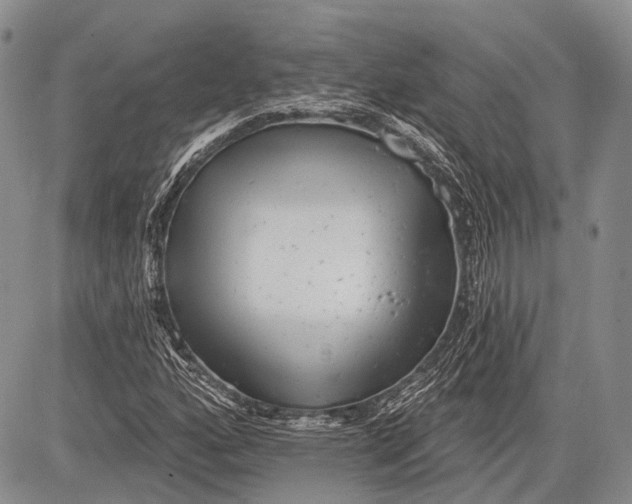 X0000081561160200702051142