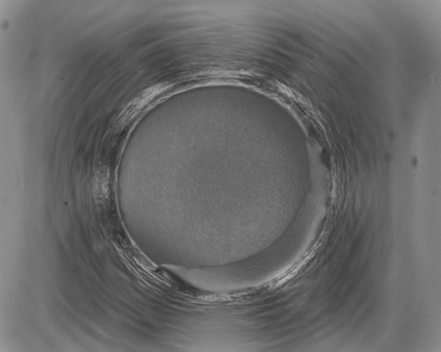 X0000081561161200702051142