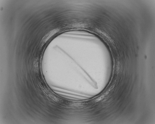 X0000081561162200702051142