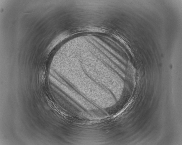 X0000081561163200702051142