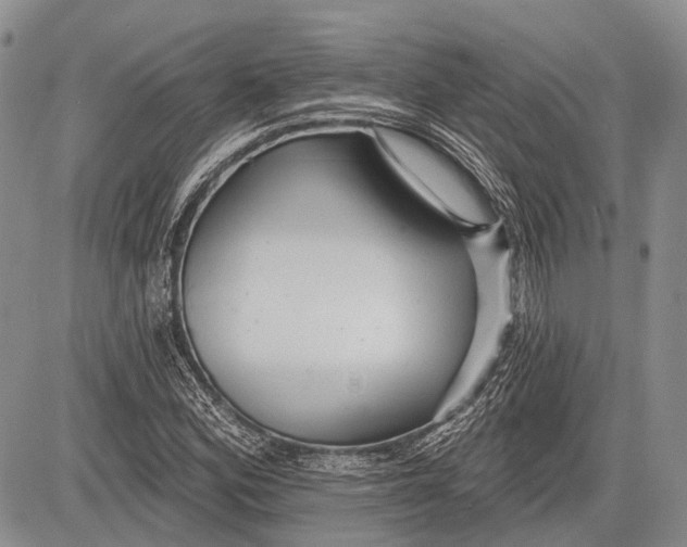 X0000081561164200702051142