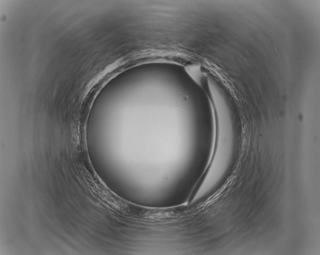 X0000081561165200702051142