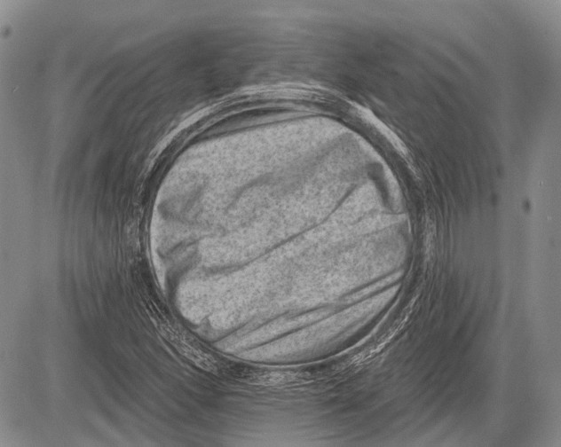 X0000081561166200702051142