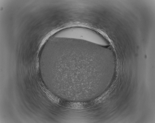 X0000081561167200702051142