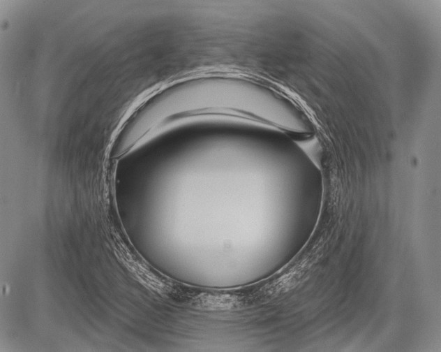 X0000081561168200702051142