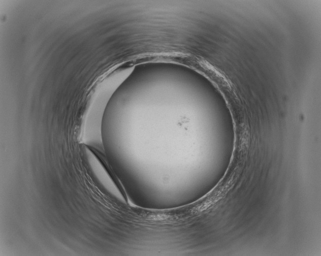 X0000081561169200702051142