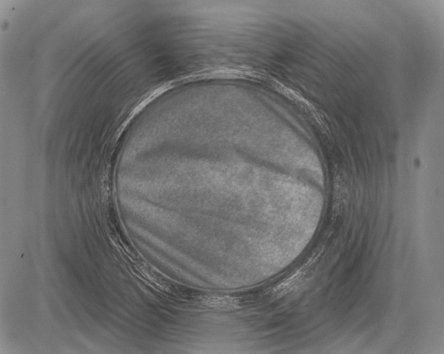 X0000081561170200702051142