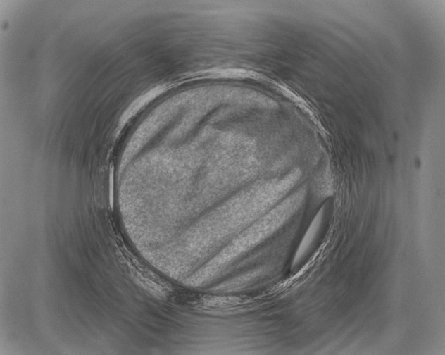 X0000081561171200702051142