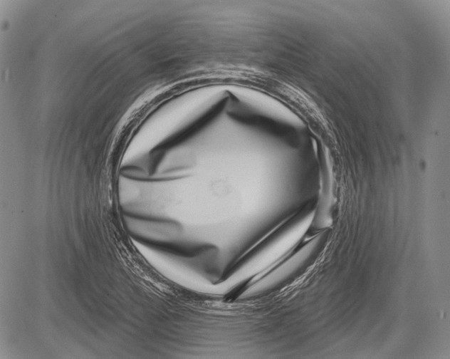 X0000081561172200702051142