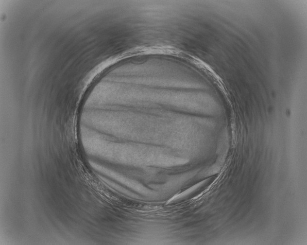 X0000081561174200702051142