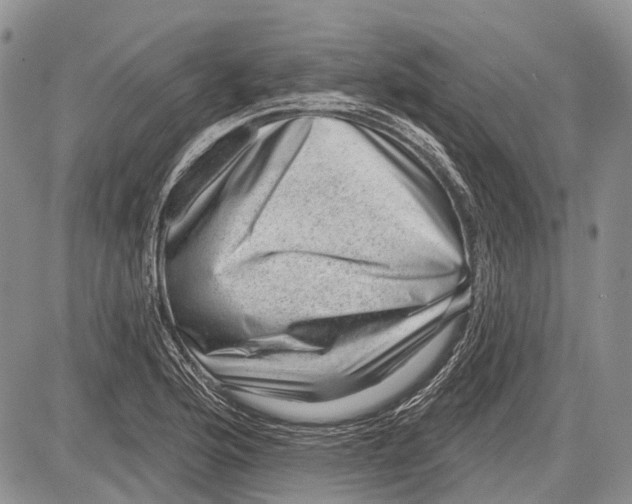 X0000081561176200702051142