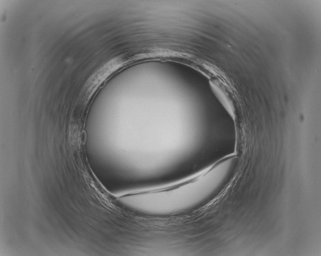 X0000081561177200702051142