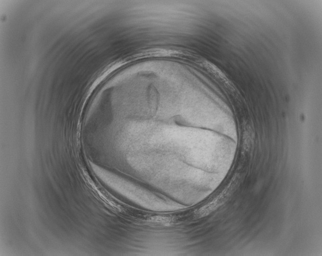 X0000081561178200702051142