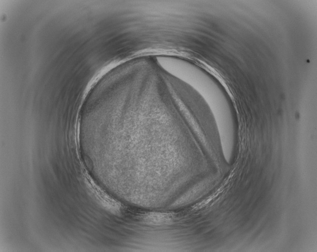 X0000081561179200702051142