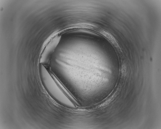 X0000081561180200702051142