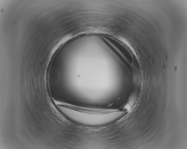 X0000081561181200702051141