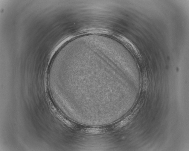 X0000081561182200702051141