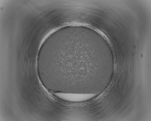 X0000081561183200702051141