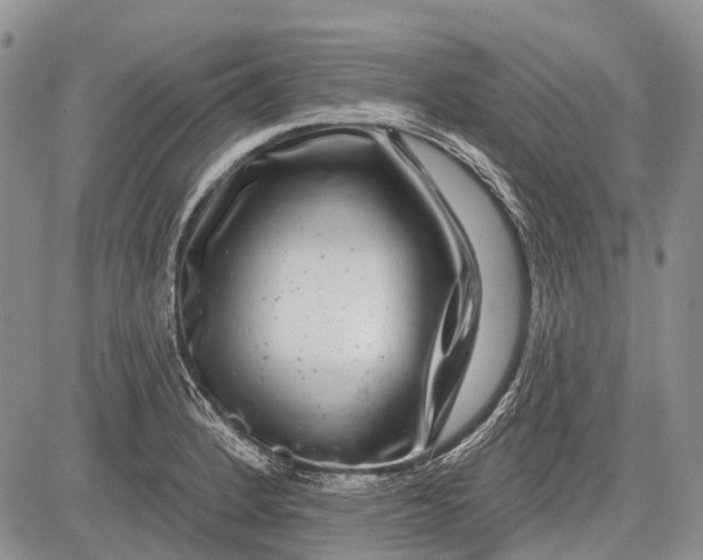 X0000081561184200702051141