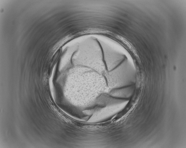 X0000081561185200702051141