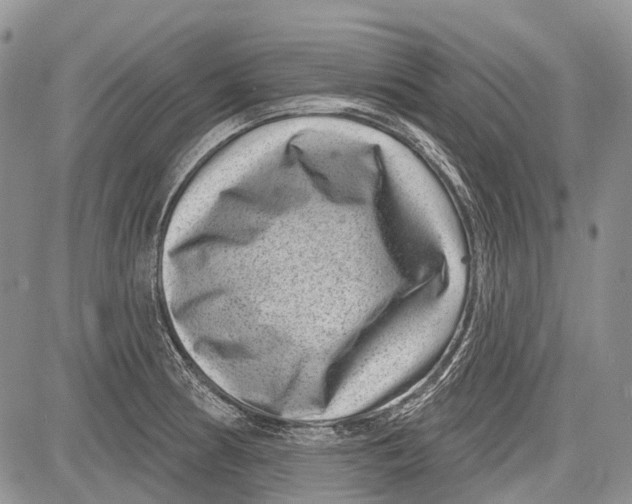 X0000081561186200702051141