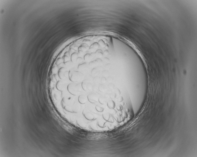 X0000081561187200702051141