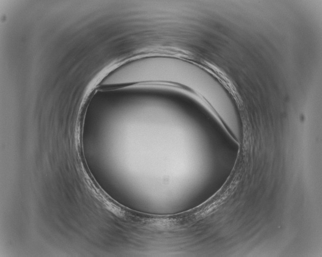 X0000081561188200702051141