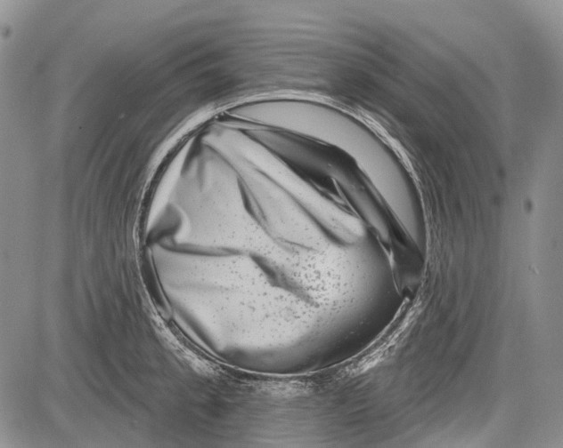 X0000081561189200702051141