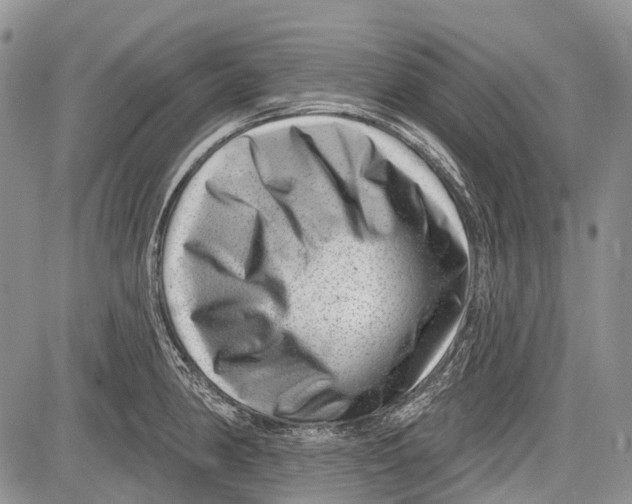 X0000081561190200702051141