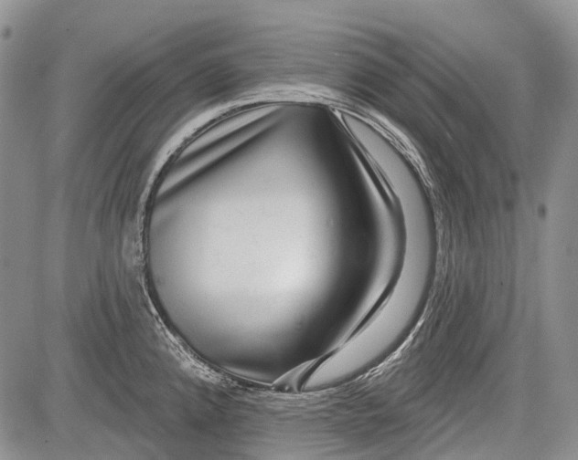 X0000081561192200702051141