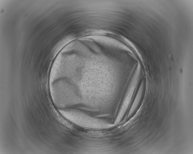 X0000081561194200702051141